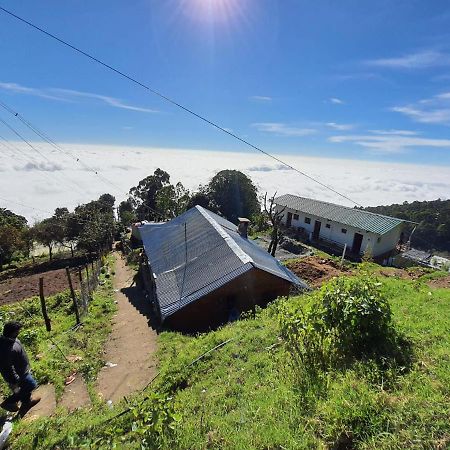 Dostel: Backpacker Hostel โกไดกานัล ภายนอก รูปภาพ
